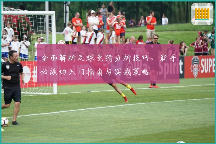 全面解析足球竞猜分析技巧，新手必读的入门指南与实战策略