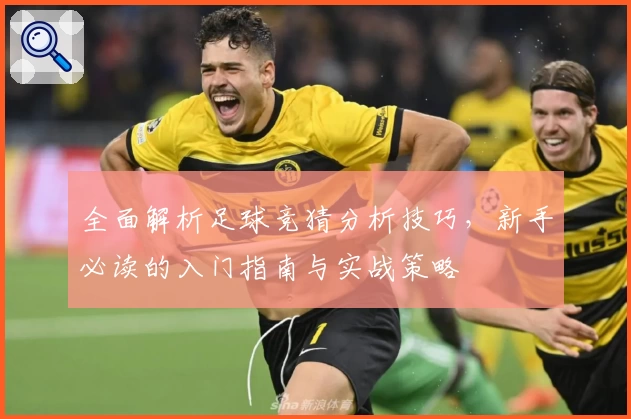 全面解析足球竞猜分析技巧，新手必读的入门指南与实战策略