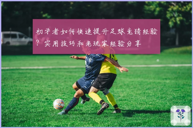 初学者如何快速提升足球竞猜经验？实用技巧和老玩家经验分享