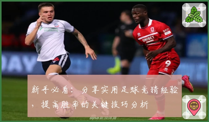 新手必看：分享实用足球竞猜经验，提高胜率的关键技巧分析
