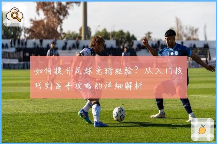 如何提升足球竞猜经验？从入门技巧到高手攻略的详细解析